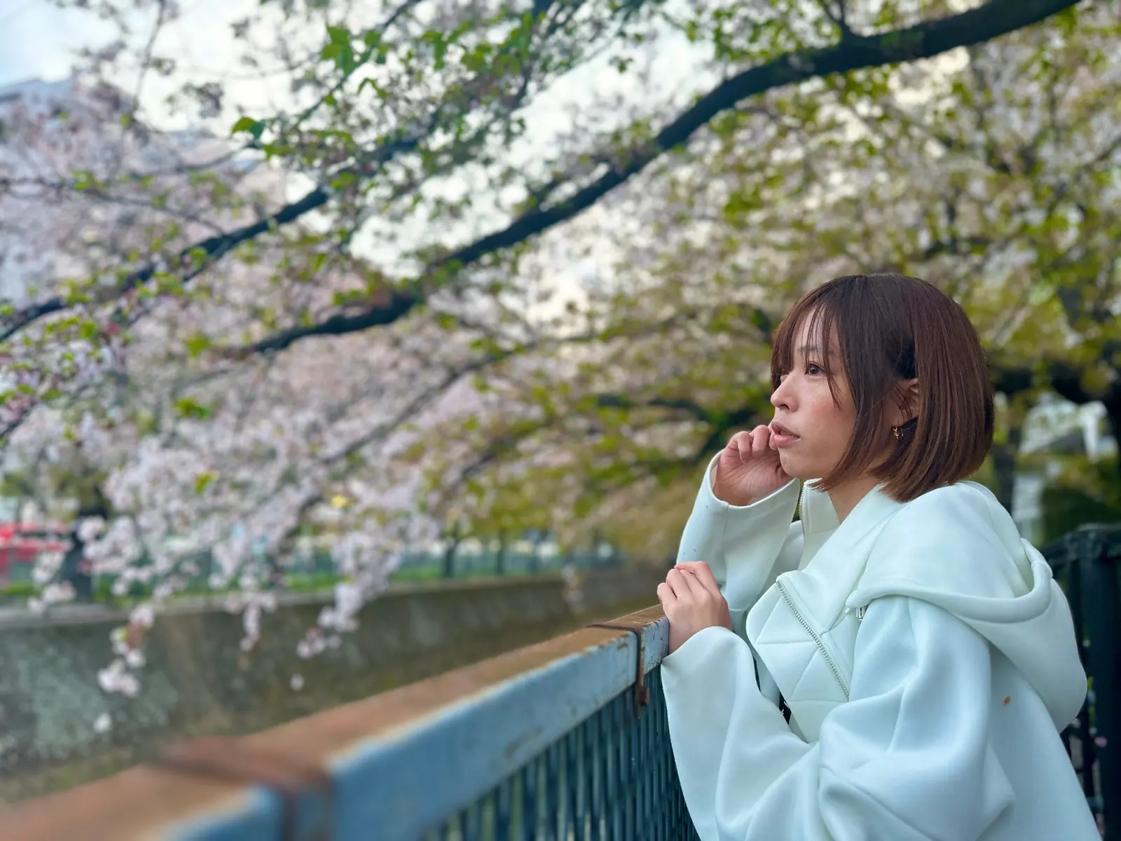 佐月麻理子と桜